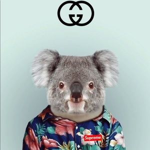 Meet your Posher, Rafael